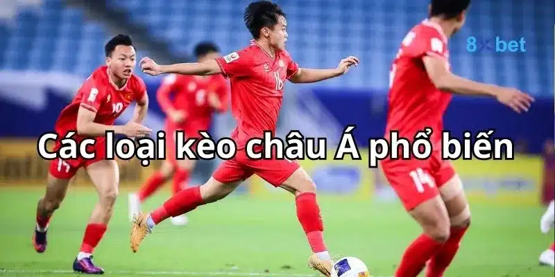 Kèo Châu Á - Tất Tật Thông Tin Về Kèo Châu Á Cho Người Mới 3 Các loại kèo nhà cái châu Á đa dạng và phong phú