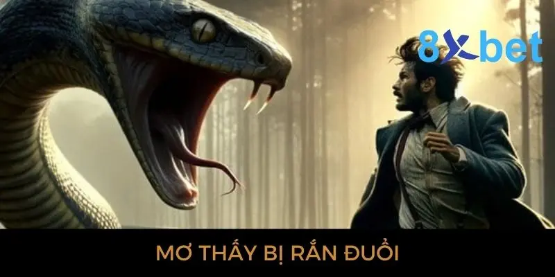 Giải mã giấc mơ thấy rắn: Bí ẩn và điềm báo gì? 4 Mơ thấy bị rắn đuổi