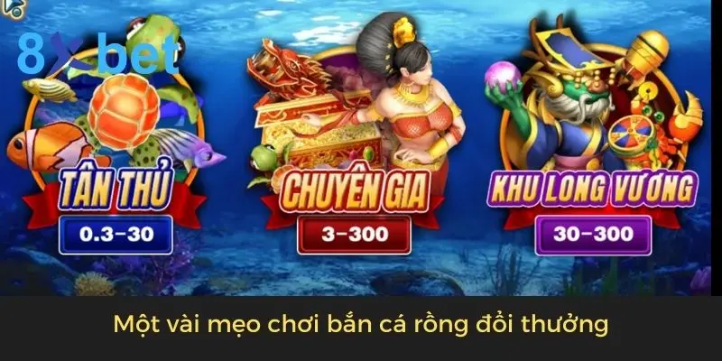 Game Bắn Cá Rồng Đổi Thưởng - Bắn Là Trúng Thưởng Lớn 5 Một vài mẹo chơi bắn cá rồng đổi thưởng 8xbet