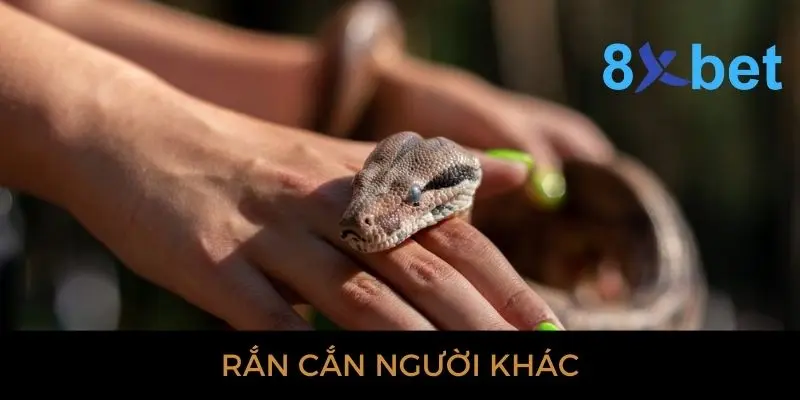 Giải mã giấc mơ thấy rắn: Bí ẩn và điềm báo gì? 3 Nằm mơ thấy con rắn cắn người khác